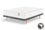 Base-Tapizada-Casual-V2