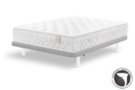 Base-tapizada-Glamour-2