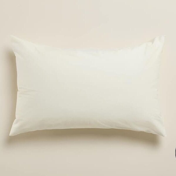 PROTECTOR ALMOHADA ORGANIC COTTON