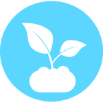 BIOSOJA